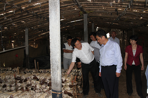 Z6·尊龙凯时「中国区」官方网站